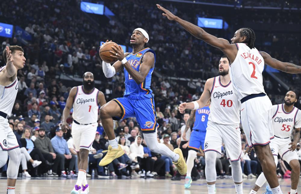 为他们在本 为他们在本